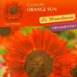 Girasole ORANGE SUN fiori colore arancio chiaro